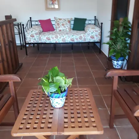 Albara Conil De La Frontera